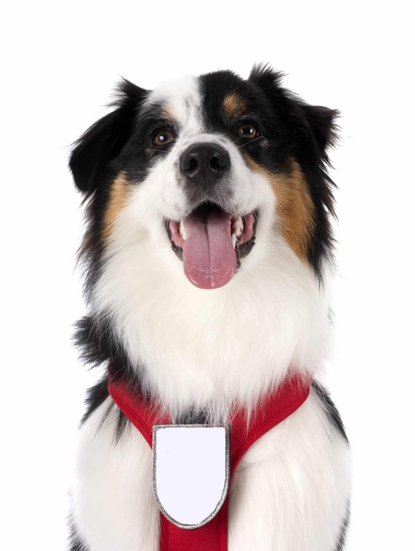 Les avantages d'un clavier mécanique à switches personnalisables pour une expérience de frappe personnalisée